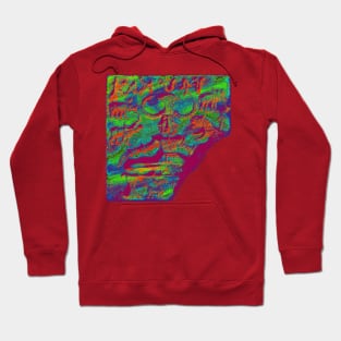 Pasupatinath 8 Hoodie